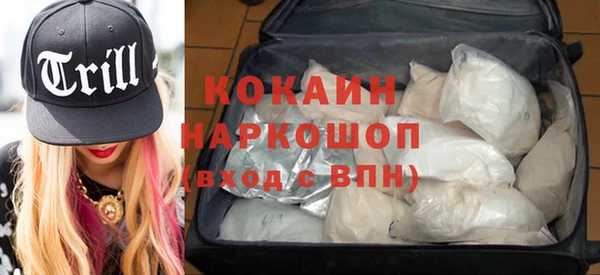 СК Алзамай