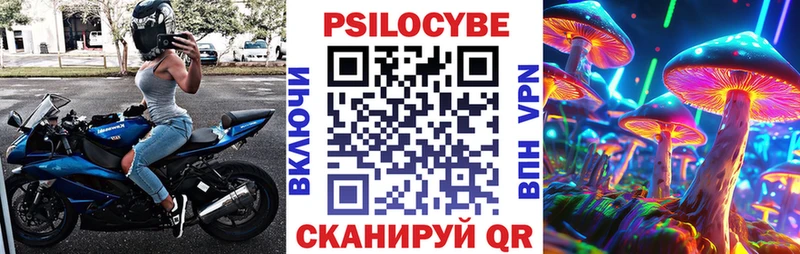 Купить закладки  Кущёвская  Псилоцибиновые грибы прущие грибы 
